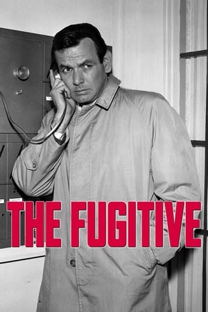 The Fugitive Season 4