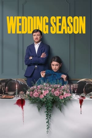 Wedding Season Season 1