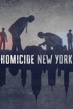 Homicide Season 1