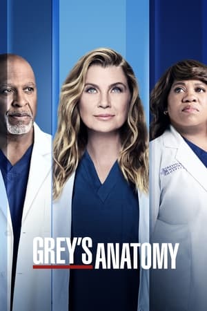 Grey's Anatomy Season 9